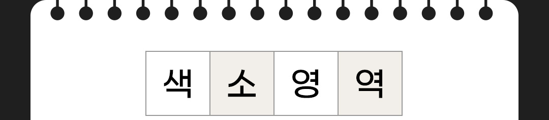 색소영역